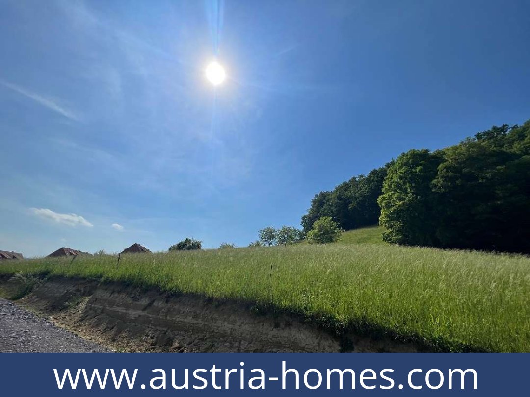 austria-homes-bad gleichenberg-8344-20251011211936-0036501007.jpg